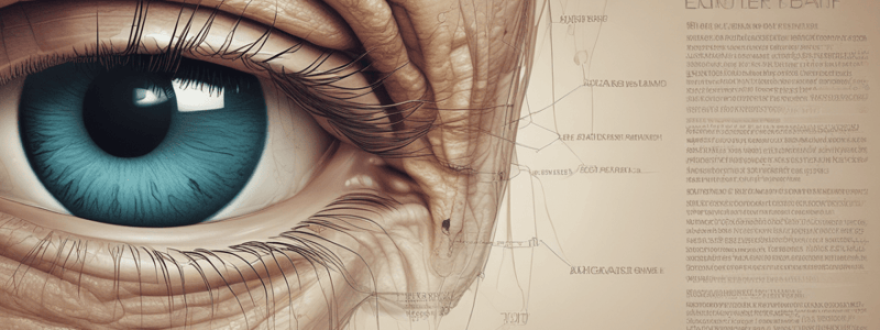 Blinking Mechanism and Tear Film Dynamics