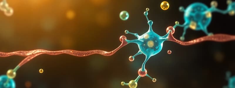 Amino Acid Metabolism and Synthesis