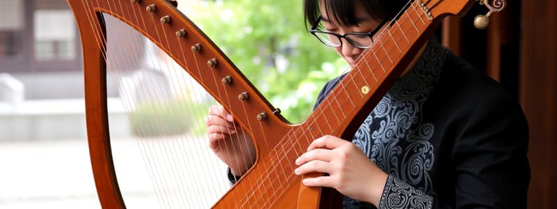 The Pipa: A 2000-Year-Old Chinese Instrument