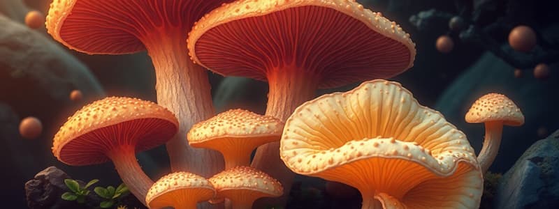 Overview of Fungi