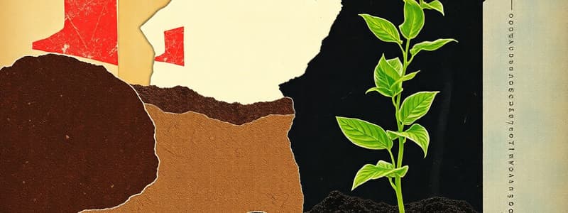 Soils and Plant Nutrition