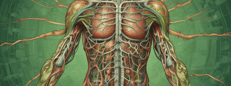 lymphatic and endocrine