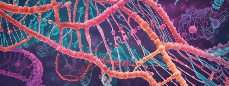 E. coli DNA Replication Origin