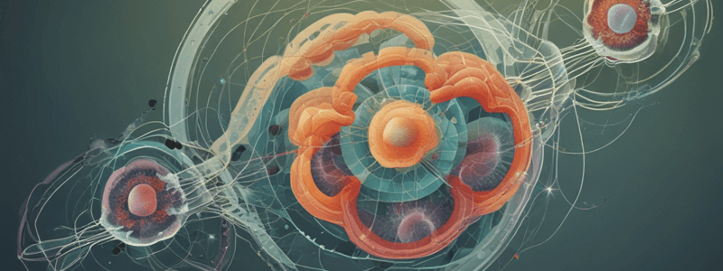 Cell Cycle and Cell Division