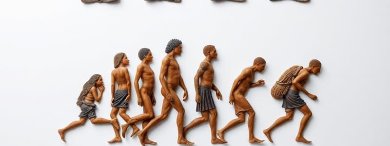 Evolución de Homo Sapiens