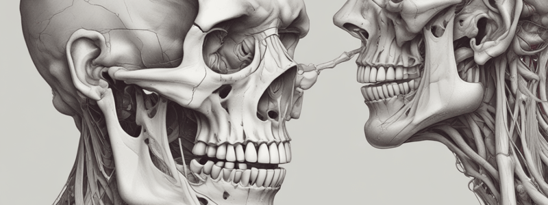 Pterygopalatine Fossa Connections