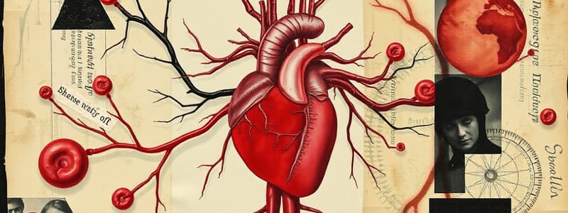 Cardiovascular and Lymphatic Systems Quiz