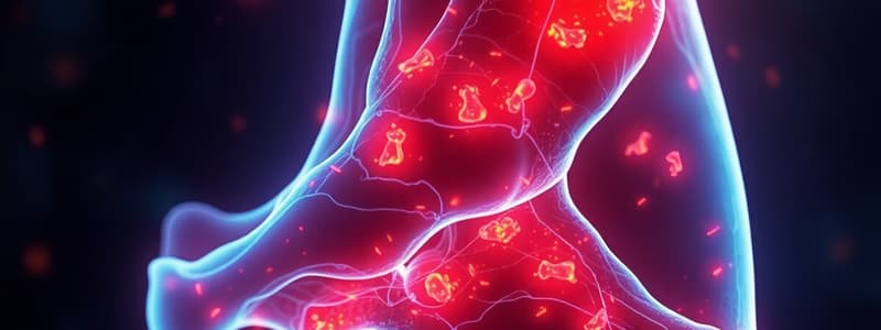 Gout and Inflammation Overview