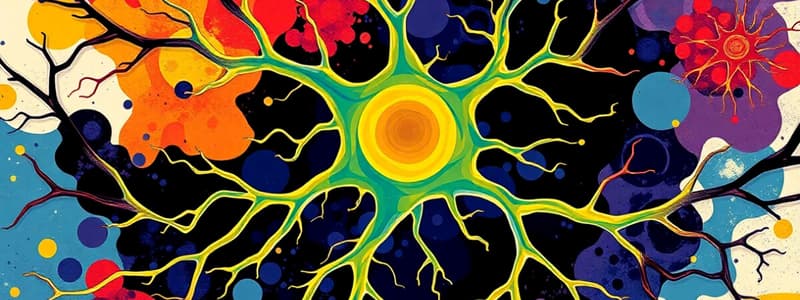 Neuron Structure & Function