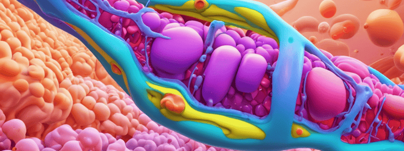 Insulin Secretion Pathway Quiz