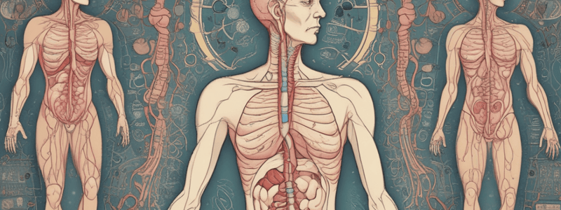 Endocrine System Summary