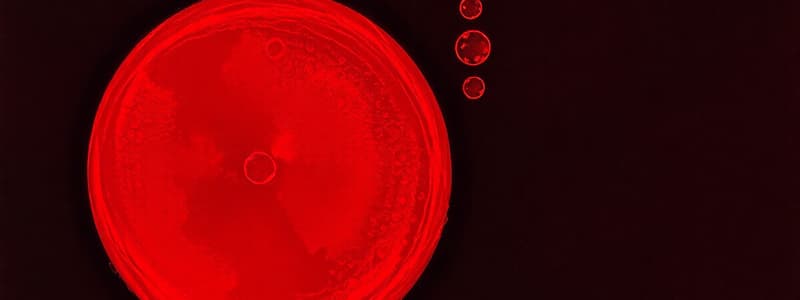 Abnormal Morphology of Red Blood Cells