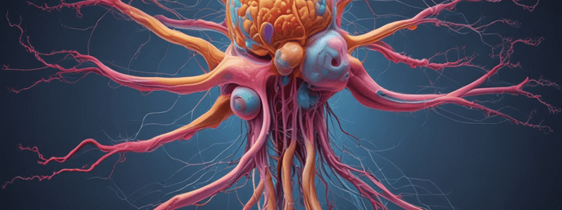 L10 : ANS II: Functions of parasympathetic and sympathetic NS