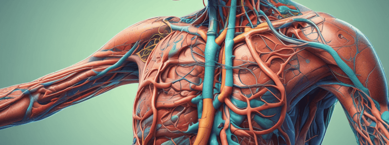 The Lymphatic and Immune System: Anatomy Chapter 21 Quiz