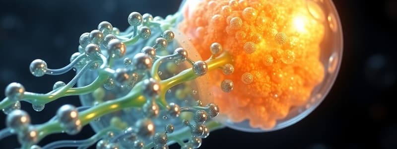 Cell Membrane Structure and Functions