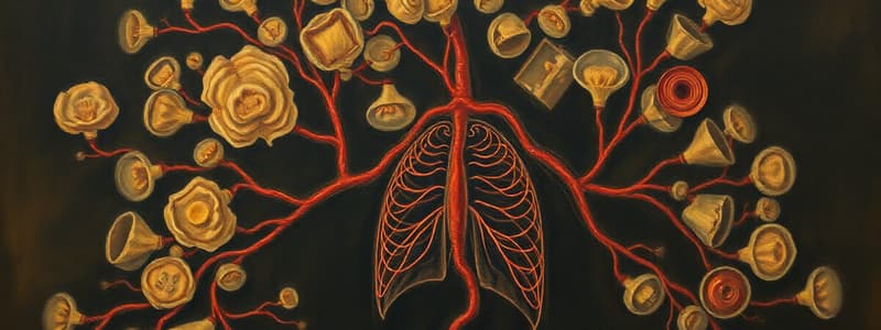 Gas Exchange Mechanisms in Organisms