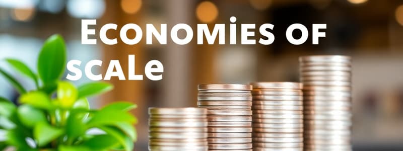 Economies of Scale and Scope Overview