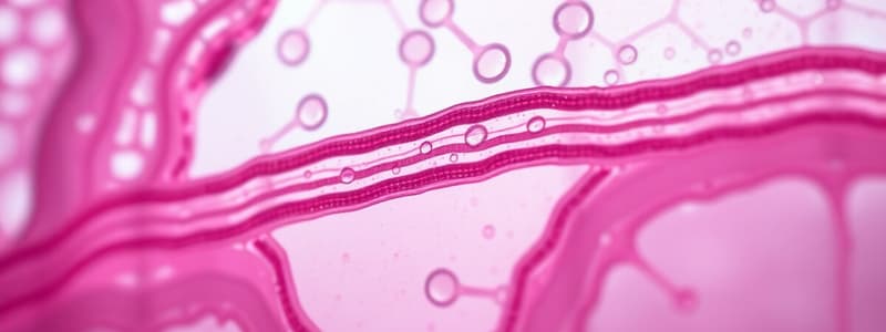 Epithelial Tissue Part 3