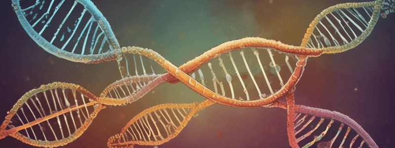 Mitochondrial DNA Overview