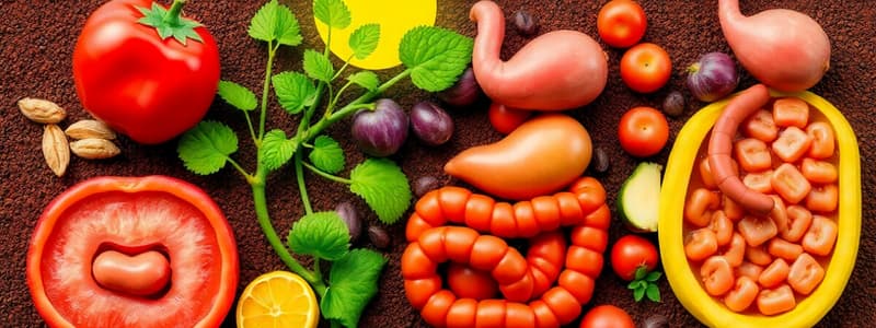 Nutrition in Plants and Animals