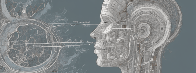 Respiratory System Equations and Volumes Quiz