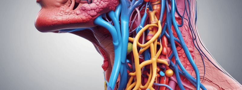 Larynx Cartilages and Respiratory System Components Quiz