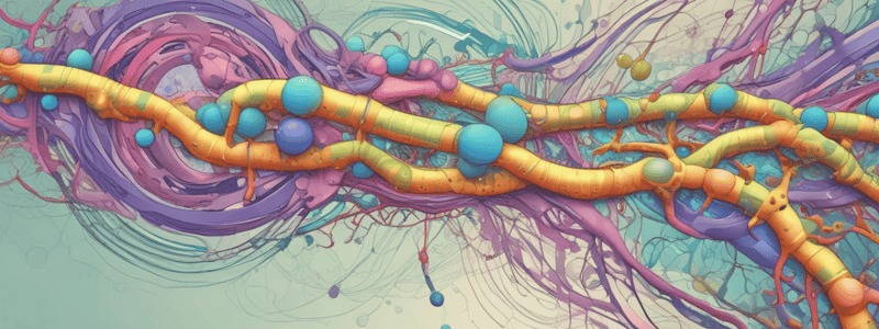 Post-transcriptional regulation of eukaryotic genes expression