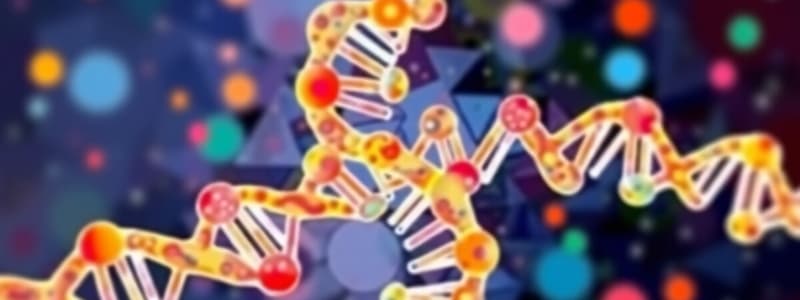 Prokaryotic DNA Replication Overview