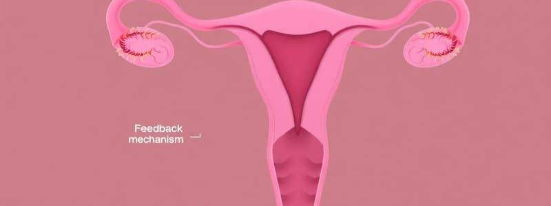 Cycle Ovarien et Ovulation