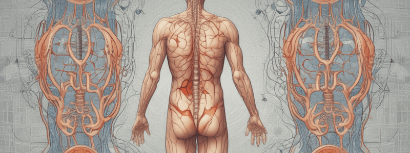 Homeostasis and Internal Environment