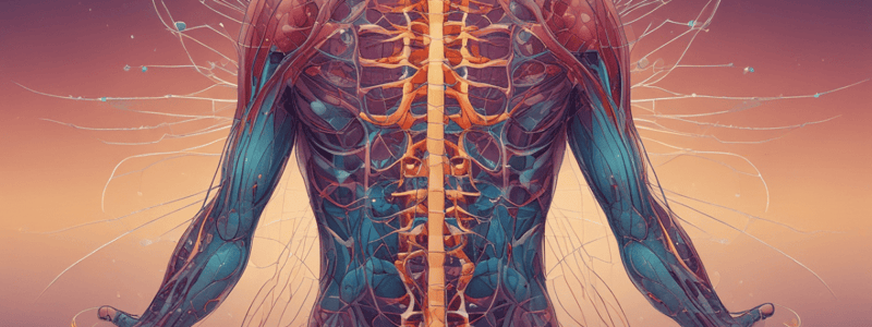 Pain and Nervous System: Anatomy and Physiology