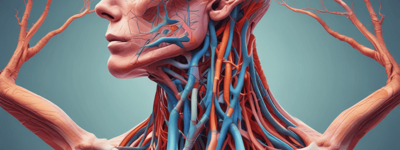 Upper extremity clinical correlations