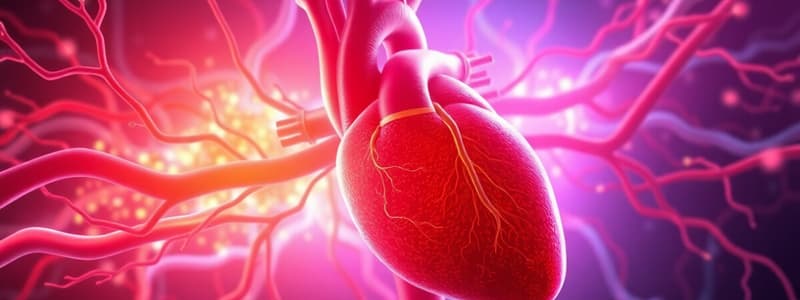 Cardiovascular System Overview