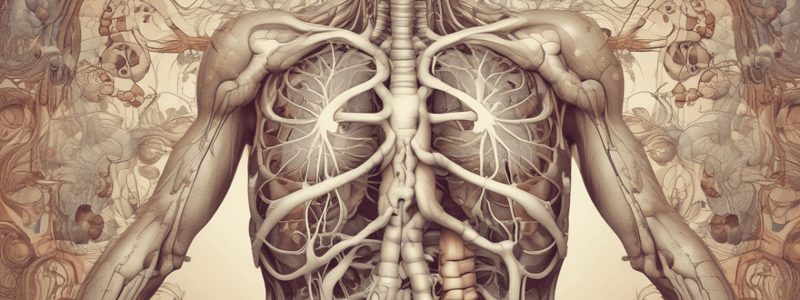 Pulmonary System Function