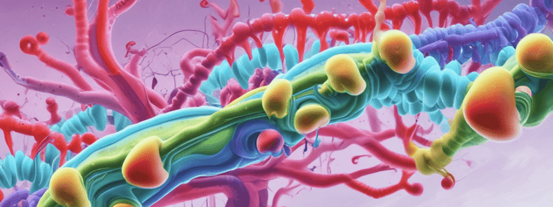 Gene Regulation and Lac Operon Quiz