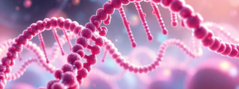 RNA Replication Overview and Comparison