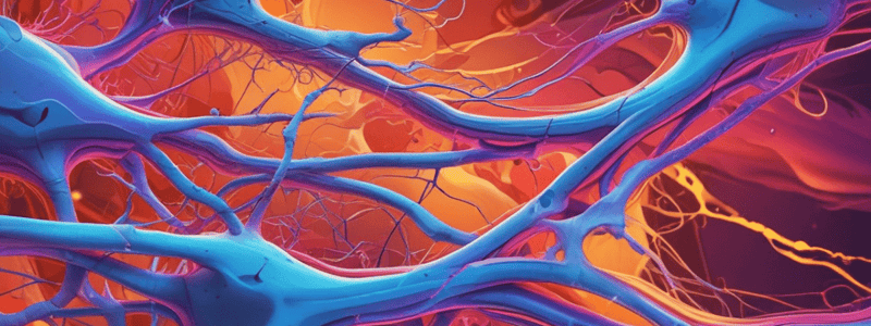 Interstitial Fluid Volume and Neurons Resting Membrane Potential Quiz