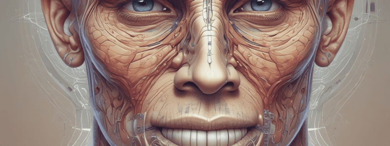 Respiratory System: Nasal Cavities and Epithelium