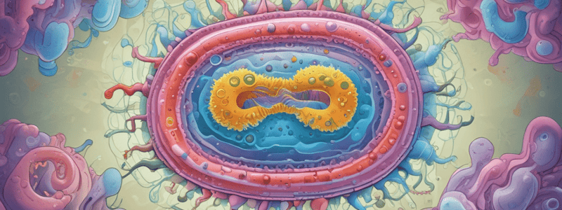 Cell Structure: Prokaryotes