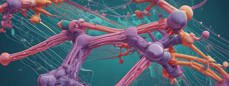 Protein Folding and Chaperones