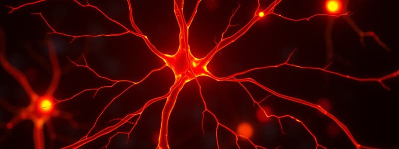 Neuroscience Quiz: Nerve Signals