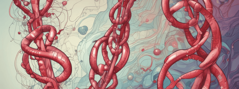 Hemoglobin and Oxygen Transport