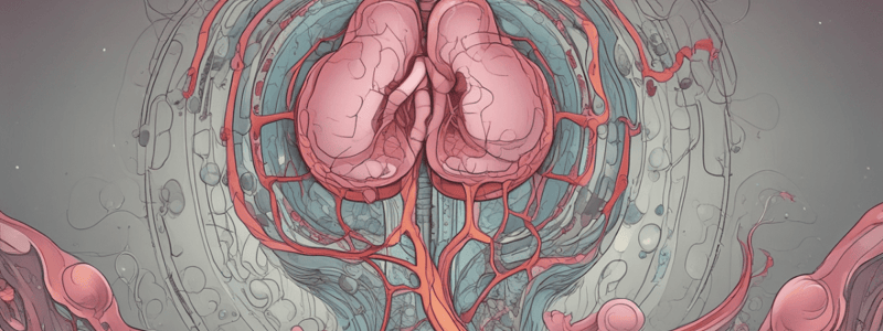 Disorders of Renal Function