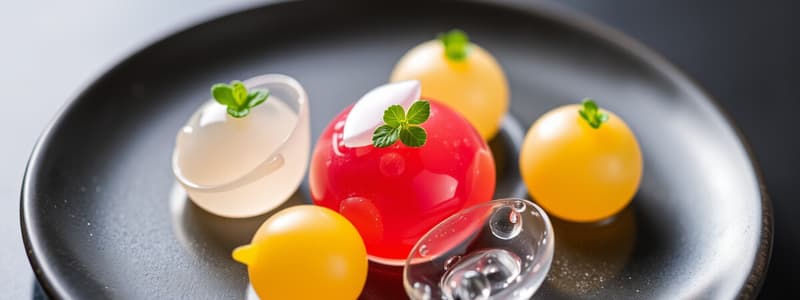 Molecular Gastronomy Introduction