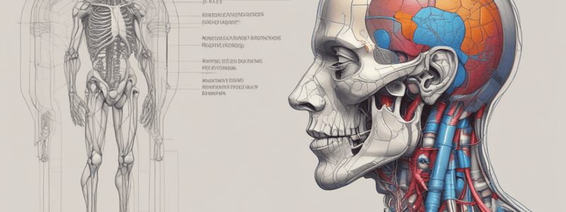 Anatomy and Physiology Terms