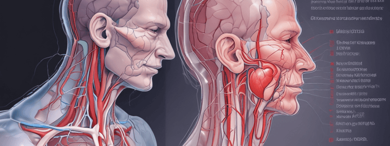 Understanding Sinus Bradycardia