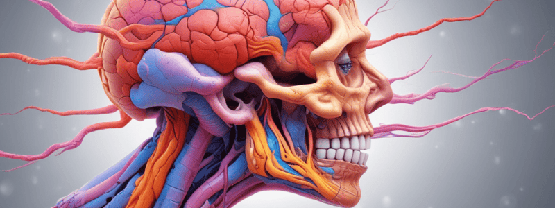 Hypothalamic-Pituitary Axis