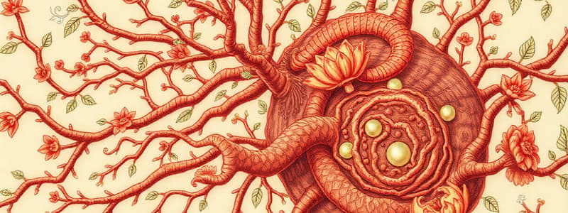 Neuronal Lipid Metabolism Overview