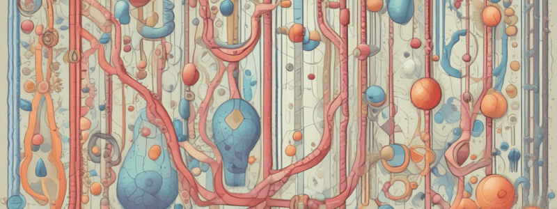 Glycolysis Overview