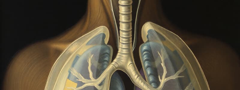 Respiratory Volumes Quiz